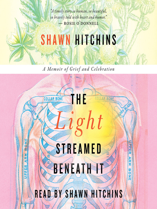 Title details for The Light Streamed Beneath It by Shawn Hitchins - Wait list